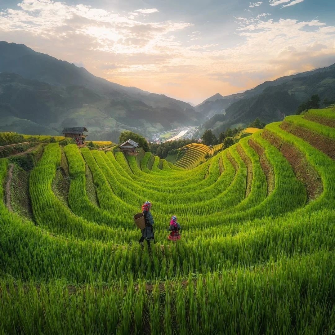 goc-nhin-doc-dao-ve-cuoc-song-viet-nam-qua-lang-kinh-cua-mot-nguoi-argentina